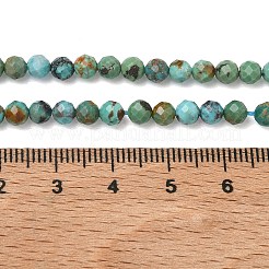 Natur hubei türkisfarbenen Perlen Stränge&nbsp;G-P629-A04-03