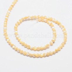 Fili di perle rotonde di conchiglia naturale&nbsp;SSHEL-M013-4mm-02