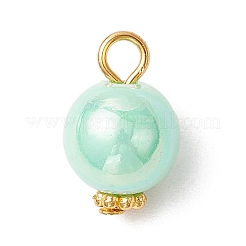 Opake Acryl Anhänger&nbsp;PALLOY-JF03929-02