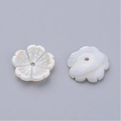 Natürlichen Süßwasser-Muschelperlen&nbsp;SHEL-Q007-09