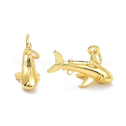 Messing Anhänger & Charms&nbsp;KK-L188-40G
