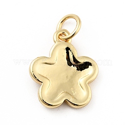 Ciondoli smaltati in ottone placcato a cremagliera&nbsp;X-KK-G387-09G