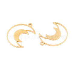 Pendentifs en acier inoxydable 304&nbsp;STAS-N108-36G