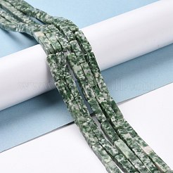 Natürliche grüne Fleck Jaspis Perlen Stränge&nbsp;G-G837-24