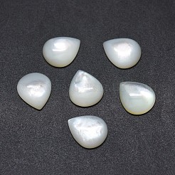 Cabochon shell&nbsp;SSHEL-E567-24E