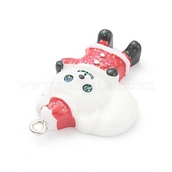 Pendentifs en résine&nbsp;RESI-O010-05