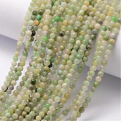Hebras de abalorios de jade chino naturales&nbsp;G-K146-31-3mm