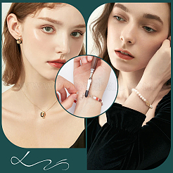 1 clip per promemoria a coccodrillo in ferro&nbsp;FIND-SC0011-24