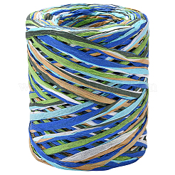 Cordones de papel de rafia teñidos en segmentos para manualidades de diy&nbsp;OCOR-WH20020-27B