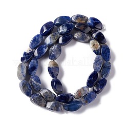 Perline sodalite naturale fili&nbsp;G-L243B-18