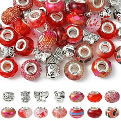 Kit de fabrication de perles européennes en alliage et résine de style tibétain&nbsp;DIY-FS0006-78E