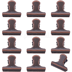 12 clip di ferro&nbsp;IFIN-CP0003-02R
