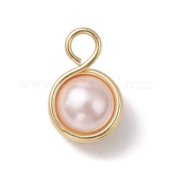 Muschelperle&nbsp;PALLOY-JF03258
