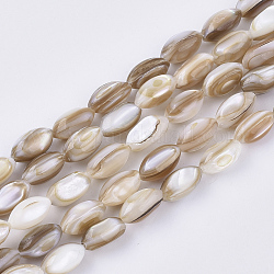 Shell perle d'acqua dolce fili, ovale, grano, 9x5mm, Foro: 1 mm, circa 44pcs/filo, 14.37 pollice (36.5 cm)