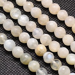 Bianco naturale perline pietra di luna fili, sfaccettato, tondo, navajo bianco, 6mm, Foro: 1 mm, circa 60pcs/filo, 15.2 pollice
