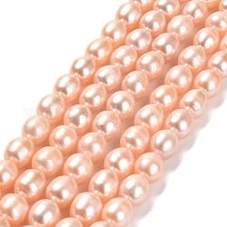 Fili di perle di perle d'acqua dolce coltivate naturali, riso, grado 3 un, salmone chiaro, 8~9x7~7.5mm, Foro: 0.6 mm, circa 43~44pcs/filo, 15.35 pollice (39 cm)
