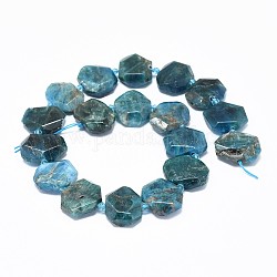 Chapelets de perles en apatite naturelle, facette, pépites, 21~22.5x17.5~19.5x6.5~7.5mm, Trou: 1.8mm, Environ 18 pcs/chapelet, 15.3 pouce (39.1 cm)