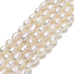 Fili di perle di perle d'acqua dolce coltivate naturali, riso, biancheria, 5.5x3.8mm, Foro: 0.5 mm, circa 69pcs/filo, 14.17'' (36 cm)