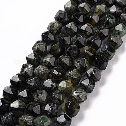 Chapelets de perles de jasper kambaba naturel, facette, polygone, 7.5~8x7~7.5x7~7.5mm, Trou: 1.2mm, Environ 45 pcs/chapelet, 14.76 pouce (37.5 cm)