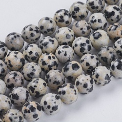 Natur Dalmatiner Jaspis Perlen Stränge, Runde, 8 mm, Bohrung: 1 mm, ca. 24 Stk. / Strang, 7.6 Zoll