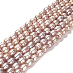 Fili di perle di perle d'acqua dolce coltivate naturali, riso, grado aa, salmone scuro, 7~8x6~6.5mm, Foro: 0.7 mm, circa 45pcs/filo, 14.37'' (36.5 cm)