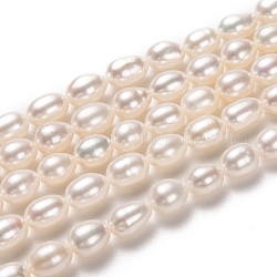 Natural Cultured Freshwater Pearl Beads Strands, Rice, Bisque, 7~8x6mm, Hole: 0.7mm, about 50pcs/strand, 15.35 inch(39cm)