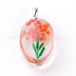 Ciondoli di vetro, con fiori secchi all'interno, ovale, platino, arancione scuro, 31x18x10~11mm, Foro: 5x2 mm