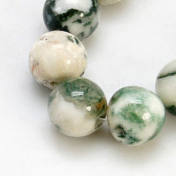 Chapelets de perles en agate d'arbre naturelle, ronde, vert de mer moyen, 10mm, Trou: 1mm, Environ 39 pcs/chapelet, 15.3 pouce