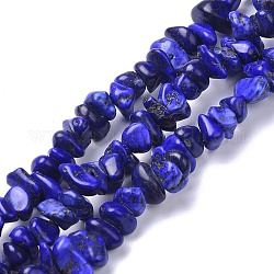 Brins de perles de magnésite naturelle, teinte, puce, bleu moyen, 6~10x6~10x3~4mm, Trou: 0.5~0.7mm, 15.55''~16.54'' (39.5~42 cm)