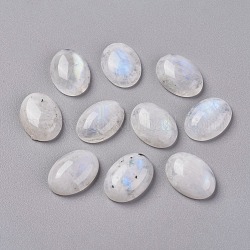 Cabochons naturels en pierre de lune arc-en-ciel, ovale, 18x13x5mm