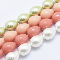 Chapelets de perles en coquille électrolytique, larme, couleur mixte, 15.5~16x12mm, Trou: 1mm, Environ 26 pcs/chapelet, 15.7 pouce (40 cm)