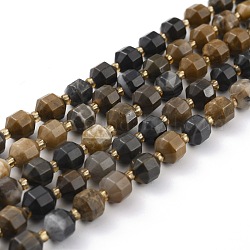 Chapelets de perles en bois pétrifié naturel, facette, avec des perles de rocaille, polygone, 8x6mm, Trou: 1.2mm, Environ 40 pcs/chapelet, 14.96 pouce (38 cm)