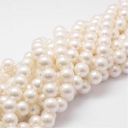 Shell-Perle Perle Stränge, Klasse A, Runde, Blumenweiß, 12 mm, Bohrung: 1 mm, ca. 34 Stk. / Strang, 16 Zoll