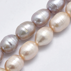 Hebras de perlas de agua dulce cultivadas naturales, arroz, color mezclado, 8~13x7mm, agujero: 0.8 mm, aproximamente 42 pcs / cadena, 14 pulgada (35.5 cm)