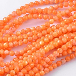 Chapelets de perles de coquillage naturel, teinte, ronde, orange, environ 5.5 mm de diamètre, Trou: 1mm, Environ 72 pcs/chapelet, 15.7 pouce