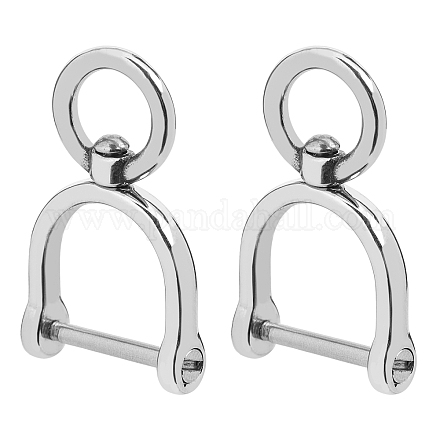 SUPERFINDINGS 2Pcs D Ring Screw Shackles Stainless D Ring Steel Swivel Clasps Keychain with D Ring and O Ring for DIY Crossbody Bag Purse Keychain Accessories FIND-FH0005-19A-1