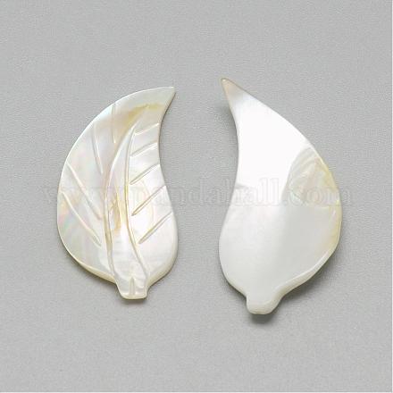 Perles de coquillage blanc naturel SSHEL-R042-12-1