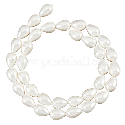 Nbeads 1 brin environ 35 perles de coquillage naturel de 8 mm BSHE-NB0001-25-1