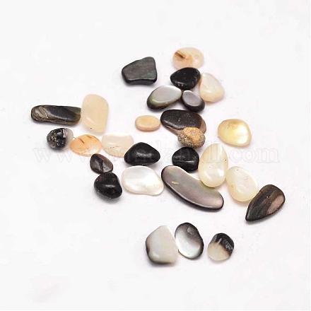 Dyed Natural Freshwater Shell Chip Beads BSHE-L010-03-1