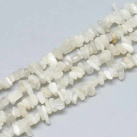 Natürlichen weißen Mondstein Perlen Stränge X-G-S315-34-1