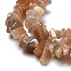 Natural Sunstone Chip Beads Strands G-M205-15A-4