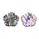 Natural Paua Shell/Abalone Shell Beads SSHEL-R046-02-2