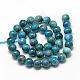 Natural Apatite Beads Strands G-R446-6mm-11-2