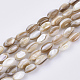 Chapelets de perles en coquille d'eau douce  X-SHEL-S276-34B-1