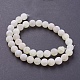 Natural Weathered Agate Beads Strands X-G-G589-10mm-03-2