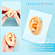 OLYCRAFT Right Ear Displays Model Silicone Ear Model Rubber Ear Silicone Flexible Ear Model with Acrylic Display Stands for Teaching Tools Jewelry Display Earrings Professional Piercings Practice EDIS-WH0021-14A-4