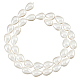 NBEADS 1 Strand about 35 Pcs 8mm Natural Shell Beads BSHE-NB0001-25-1
