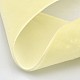 Ruban de velours en polyester pour emballage de cadeaux et décoration de festival SRIB-M001-19mm-028-2