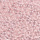 Прозрачное стекло Бисер SEED-N007-33A-02-3