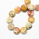 Perles de pierre gemme rond et plat agate folle de pierre brins G-S110-14mm-05-2